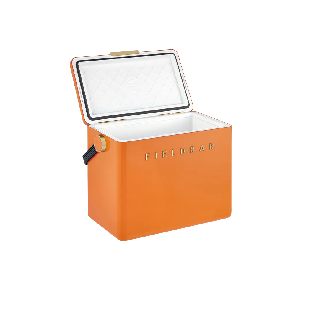 Gin Trunk / Orchard Orange