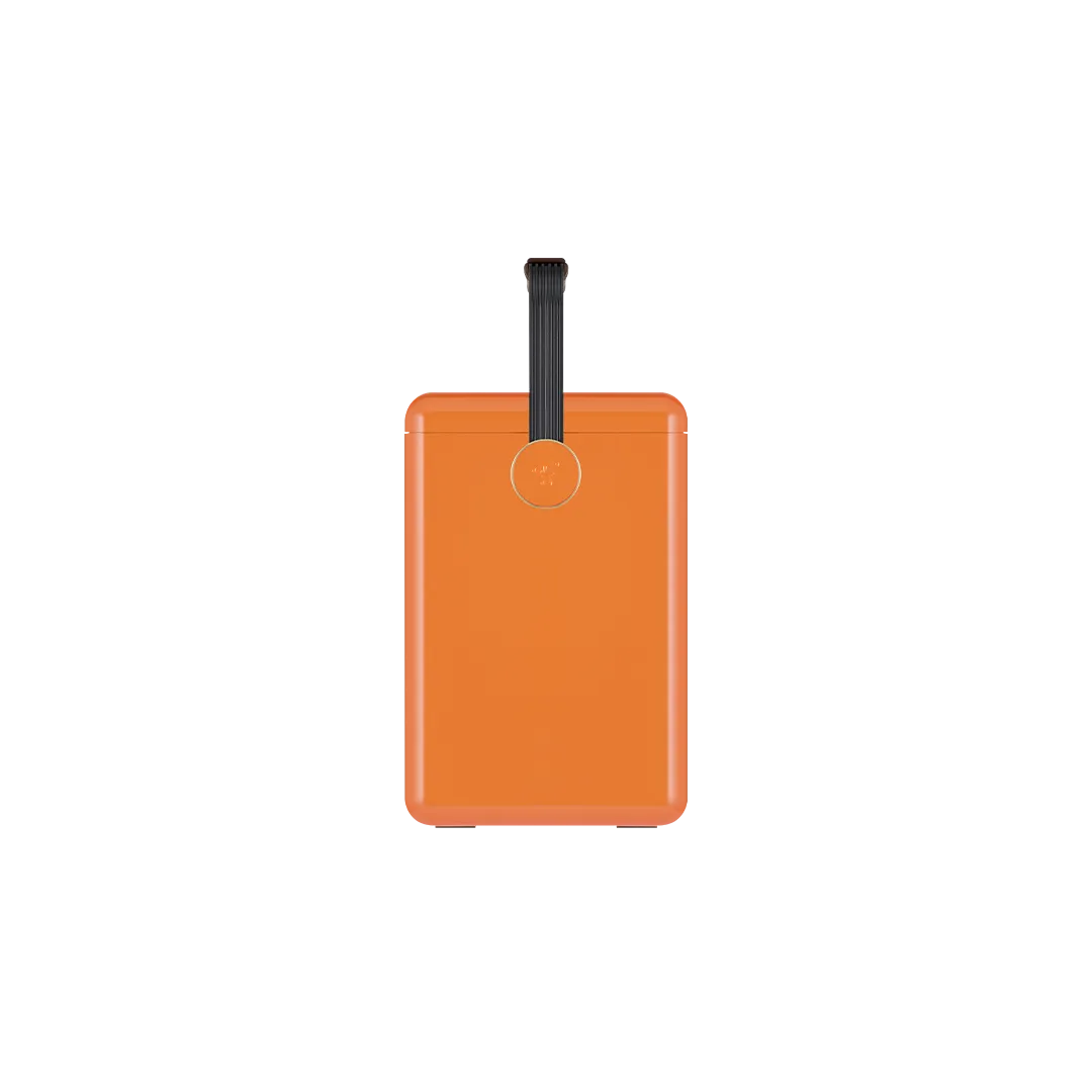 Gin Trunk / Orchard Orange