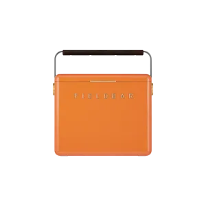Gin Trunk / Orchard Orange