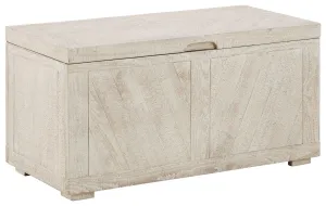 Ryker - Storage Trunk